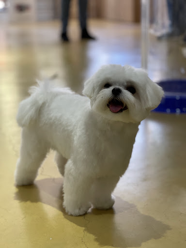 Foto del negocio