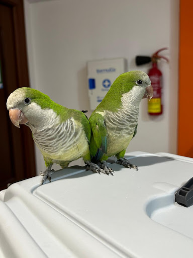 Foto del negocio
