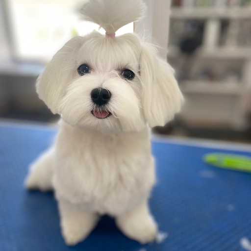 Foto del negocio
