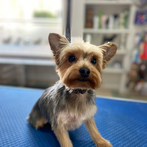 Foto del negocio