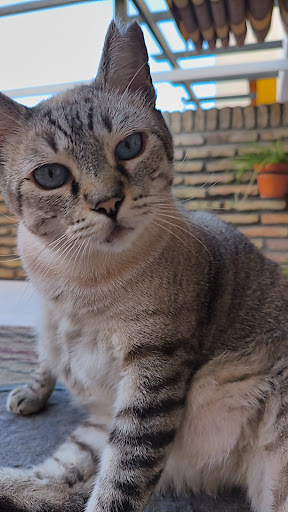 Foto del negocio