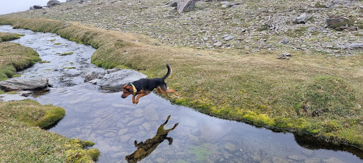 Foto del negocio
