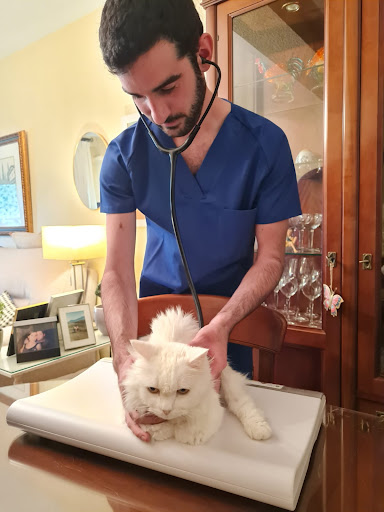 Foto del negocio