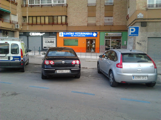 Centro Veterinario Ldo. Juan Carlos Juárez — SERVICIOS en Granada